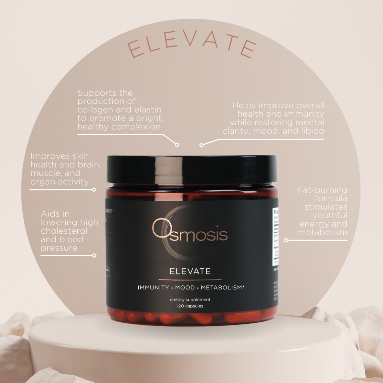 elevate container with infograph of benefits