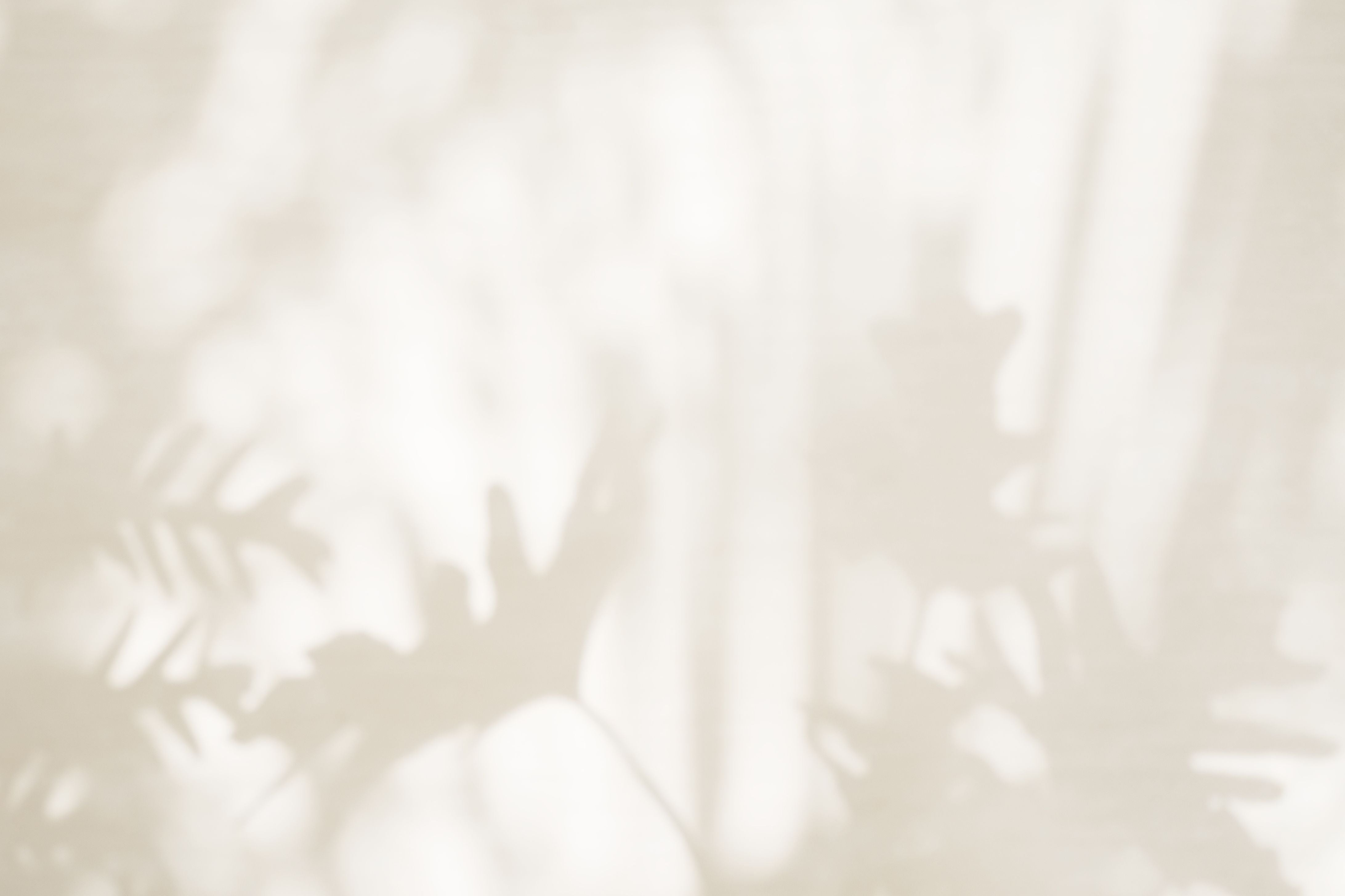 Light beige background with soft shadows and highlights