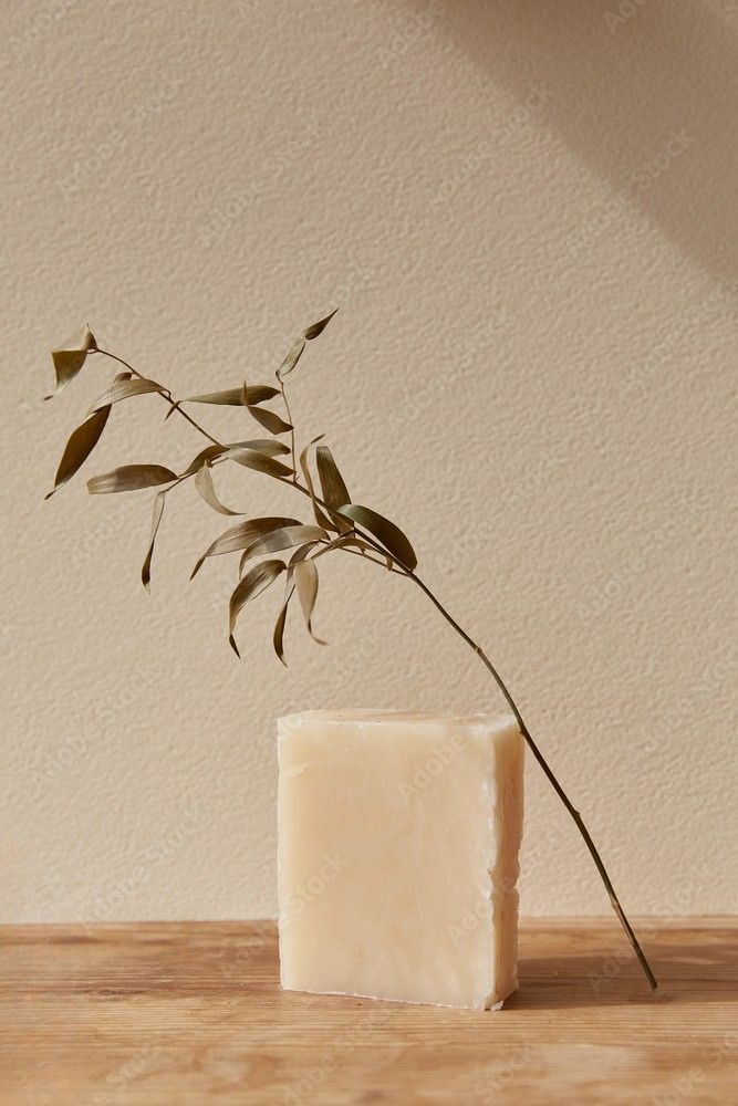 Bar of soap on a wooden surface with a leafy branch against a beige wall